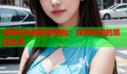暗网禁地破解版揭秘：探索未知的黑暗世界