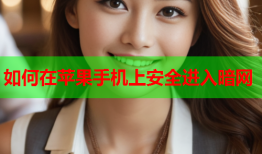 如何在苹果手机上安全进入暗网