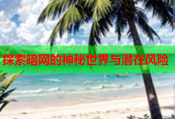 探索暗网的神秘世界与潜在风险