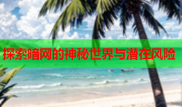 探索暗网的神秘世界与潜在风险