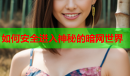 如何安全进入神秘的暗网世界