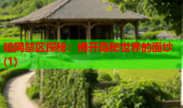 暗网禁区探秘：揭开隐秘世界的面纱(1)