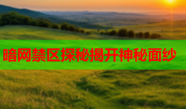 暗网禁区探秘揭开神秘面纱