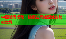 中国暗网揭秘：隐藏在网络深处的秘密世界