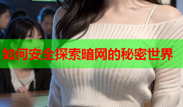 如何安全探索暗网的秘密世界