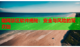 暗网禁区软件揭秘：安全与风险的双刃剑