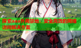 探索aaa外网禁地：安全高效的网络访问解决方案