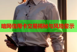 暗网信用卡交易揭秘与风险警示