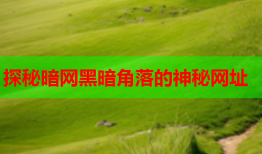 探秘暗网黑暗角落的神秘网址