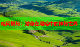 暗网揭秘：潜藏在黑暗中的神秘世界