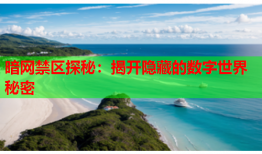 暗网禁区探秘：揭开隐藏的数字世界秘密