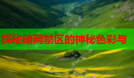 探秘暗网禁区的神秘色彩与