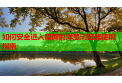 如何安全进入暗网的洋葱浏览器使用指南
