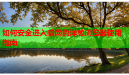 如何安全进入暗网的洋葱浏览器使用指南