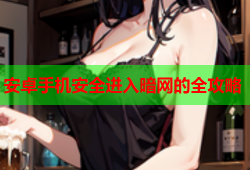 安卓手机安全进入暗网的全攻略