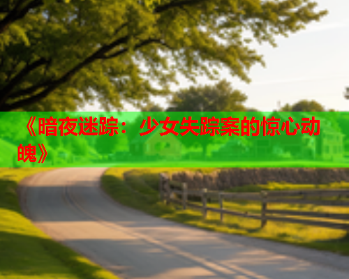 《暗夜迷踪：少女失踪案的惊心动魄》