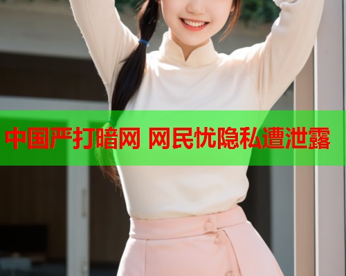 中国严打暗网 网民忧隐私遭泄露