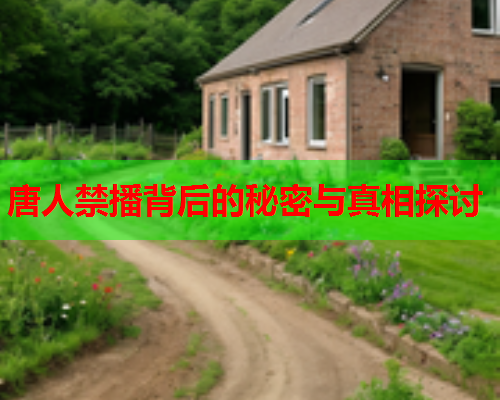 唐人禁播背后的秘密与真相探讨