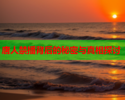 唐人禁播背后的秘密与真相探讨