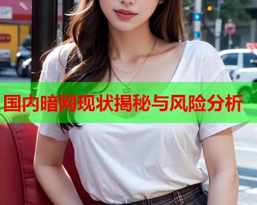 国内暗网现状揭秘与风险分析