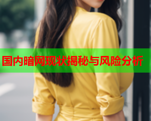 国内暗网现状揭秘与风险分析