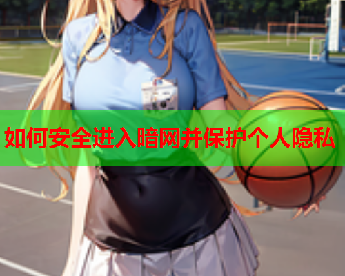 如何安全进入暗网并保护个人隐私