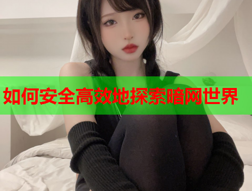 如何安全高效地探索暗网世界
