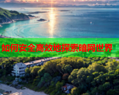 如何安全高效地探索暗网世界