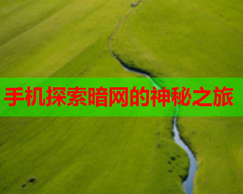 手机探索暗网的神秘之旅