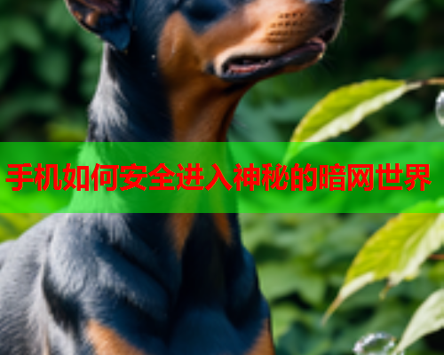 手机如何安全进入神秘的暗网世界