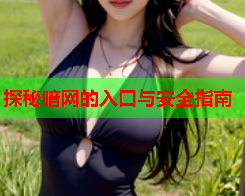 探秘暗网的入口与安全指南