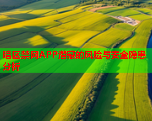 暗区禁网APP潜藏的风险与安全隐患分析