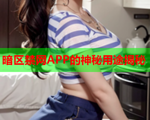 暗区禁网APP的神秘用途揭秘