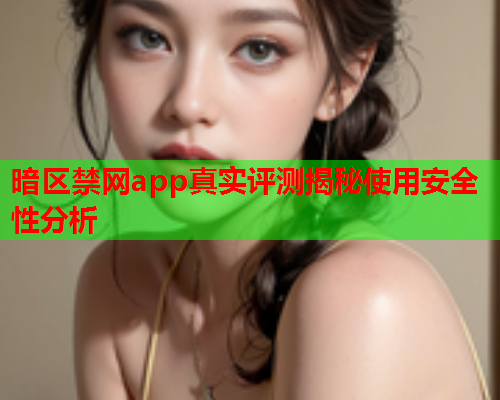 暗区禁网app真实评测揭秘使用安全性分析