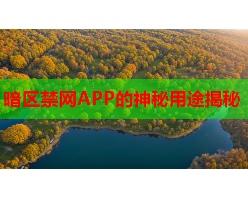 暗区禁网APP的神秘用途揭秘