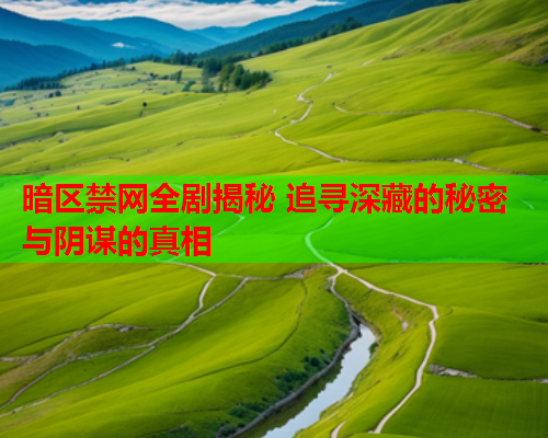 暗区禁网全剧揭秘 追寻深藏的秘密与阴谋的真相
