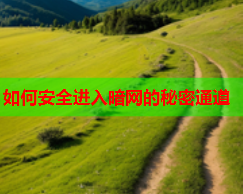 如何安全进入暗网的秘密通道