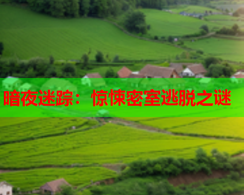暗夜迷踪：惊悚密室逃脱之谜