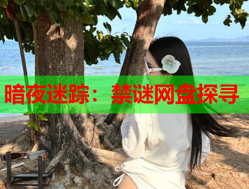 暗夜迷踪：禁谜网盘探寻