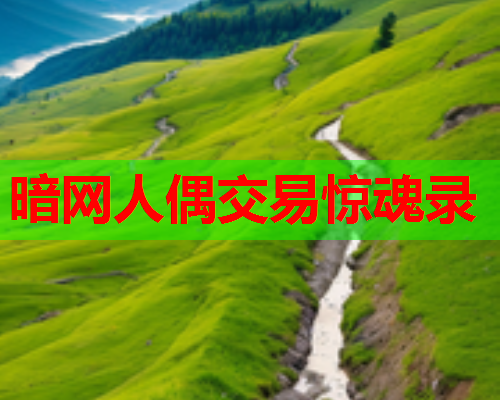 暗网人偶交易惊魂录