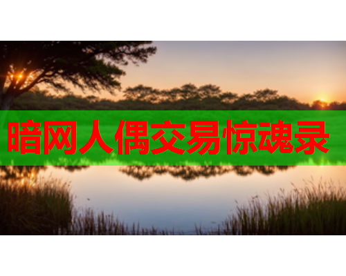 暗网人偶交易惊魂录