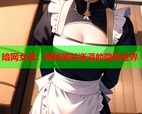 暗网女孩：揭秘网禁资源的隐秘世界