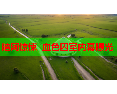 暗网惊悚  血色囚室内幕曝光