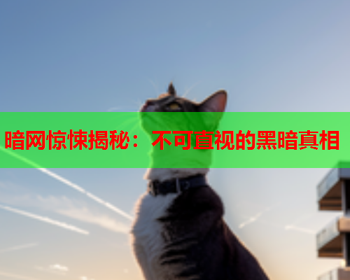 暗网惊悚揭秘：不可直视的黑暗真相