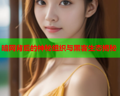 暗网背后的神秘组织与黑客生态揭秘