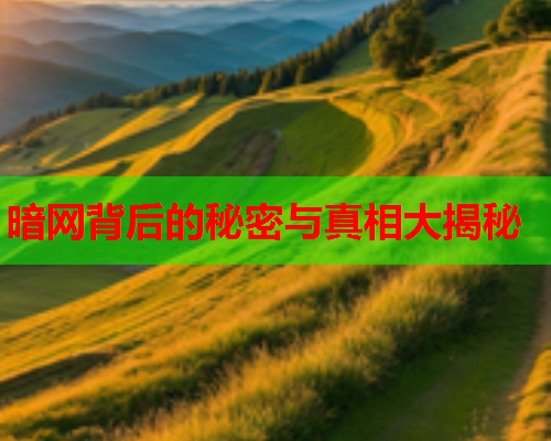 暗网背后的秘密与真相大揭秘