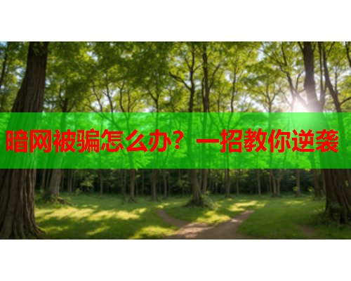 暗网被骗怎么办？一招教你逆袭