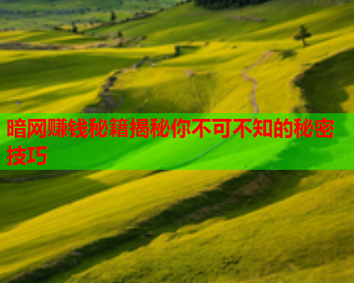 暗网赚钱秘籍揭秘你不可不知的秘密技巧