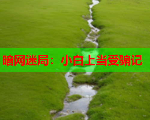 暗网迷局：小白上当受骗记
