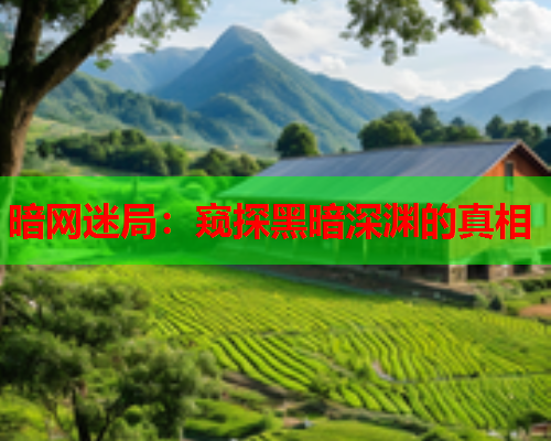 暗网迷局：窥探黑暗深渊的真相